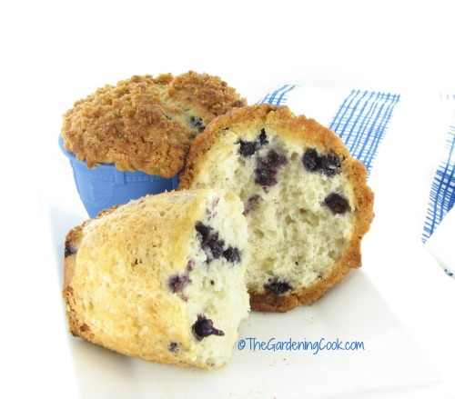 fresh blueberries give these muffins a fruity taste