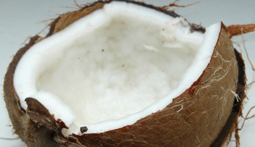 coconue