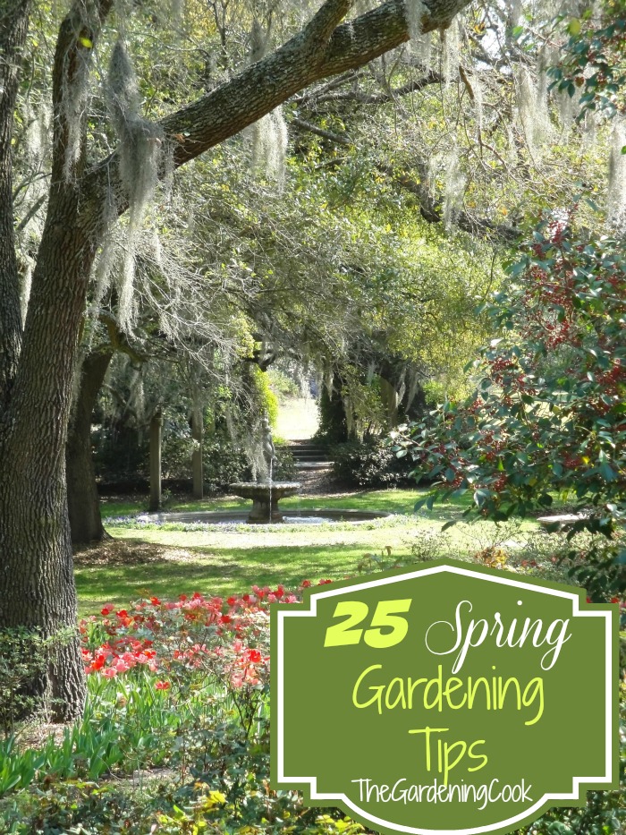 25 Tips to get your garden Ready for spring