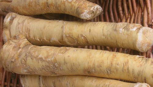 horse radish