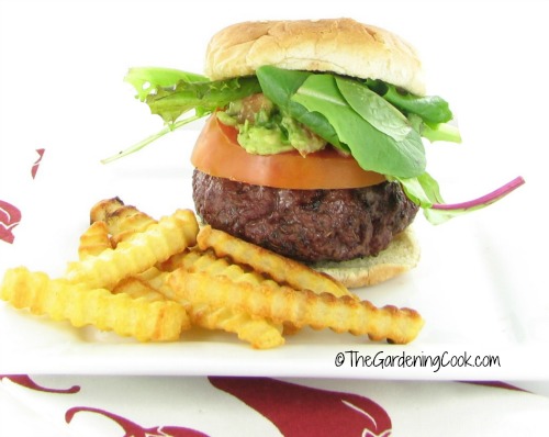 Mex-Italian burgers. The best of both cooking styles.
