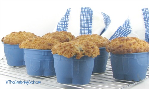 muffin top muffins cooling on a rack
