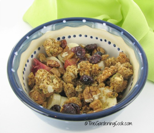 Paleo granola
