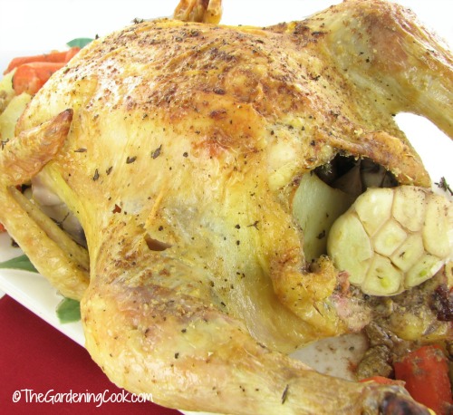 Savory Roast Chicken