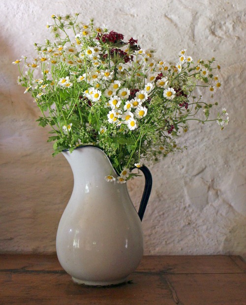 vase with wild flowers