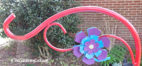 Shepherd's hook flower