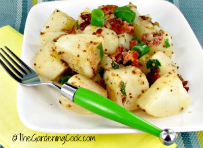 German potato salad