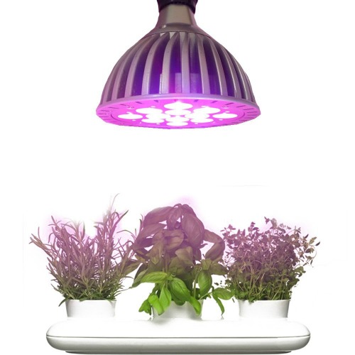 Grow lights are a great aid in propagating plants