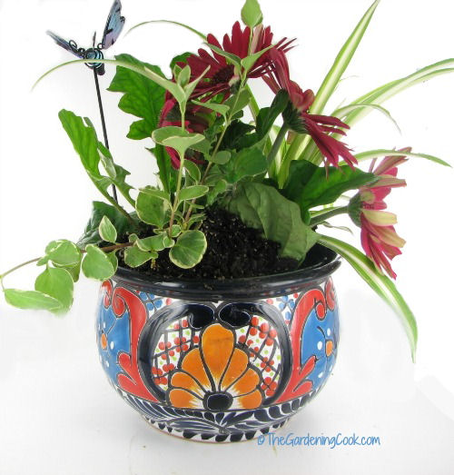 Mexican planter