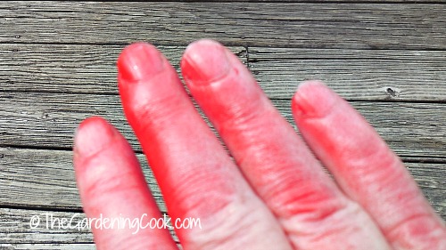 sunrise red hands