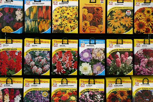seed packages