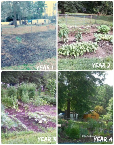 Four Year Garden Bed
