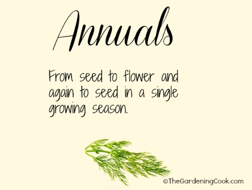 Annuals