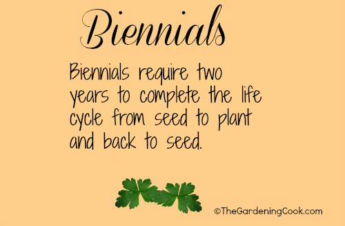 Biennials