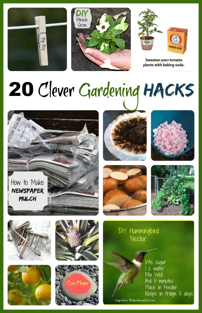 20 Clever Gardening Hacks to make this the best year yet.