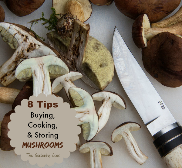 9 Tips for Cooking With Mushrooms