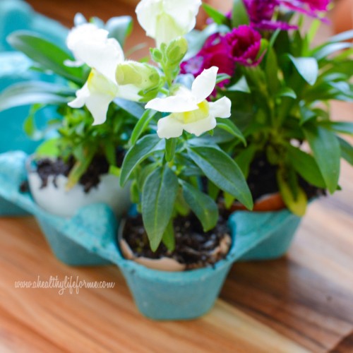 egg shell planters from ahealthylifeforme.com