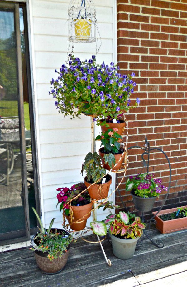 Flowering plants on a step ladder plant stand