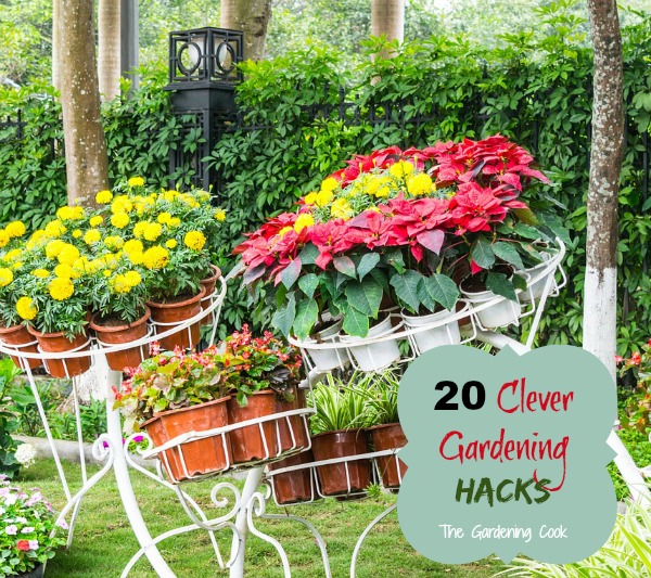Gardening Hacks – 20 Clever Ideas to Make Light of Your Garden Chores