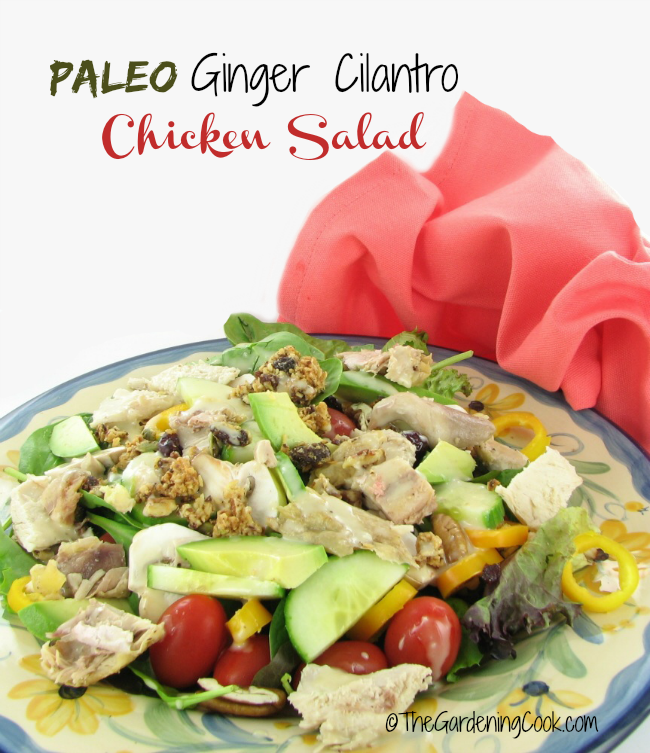 Paleo Chicken Salad with a Ginger Cilantro dressing