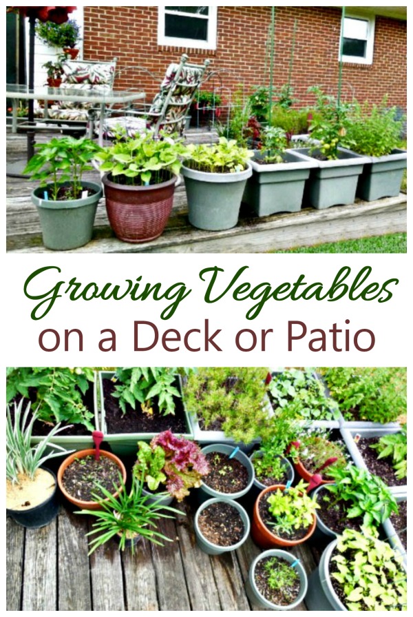 Small Deck garden