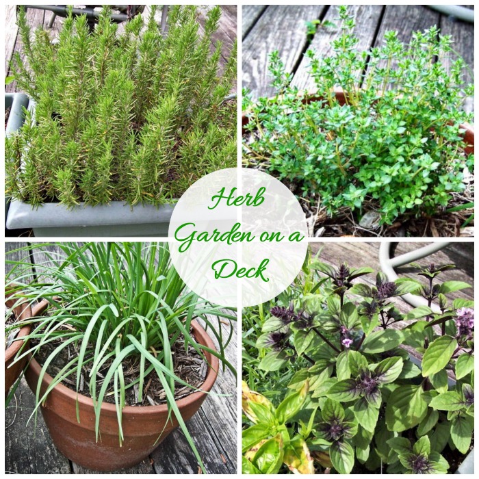 Herb Garden on a Deck