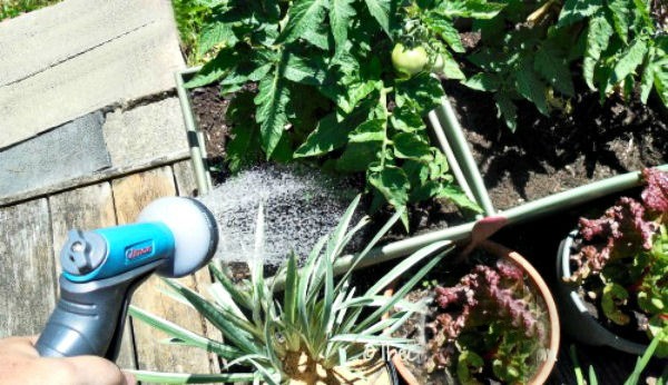Watering the garden on a deck is easy