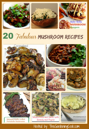 20 Delicious Mushroom recipes from https://staging.thegardeningcook.com/9-tips-for-cooking-with-mushrooms/#mushroomrecipes