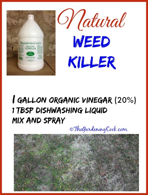 natural weed killer