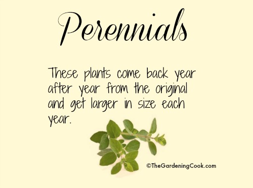 Perennials