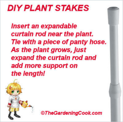 expandable curtain rods make great plant stakes