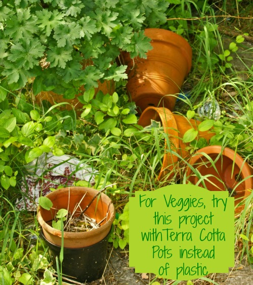 Terra Cotta Pots also make a great drip feeder
