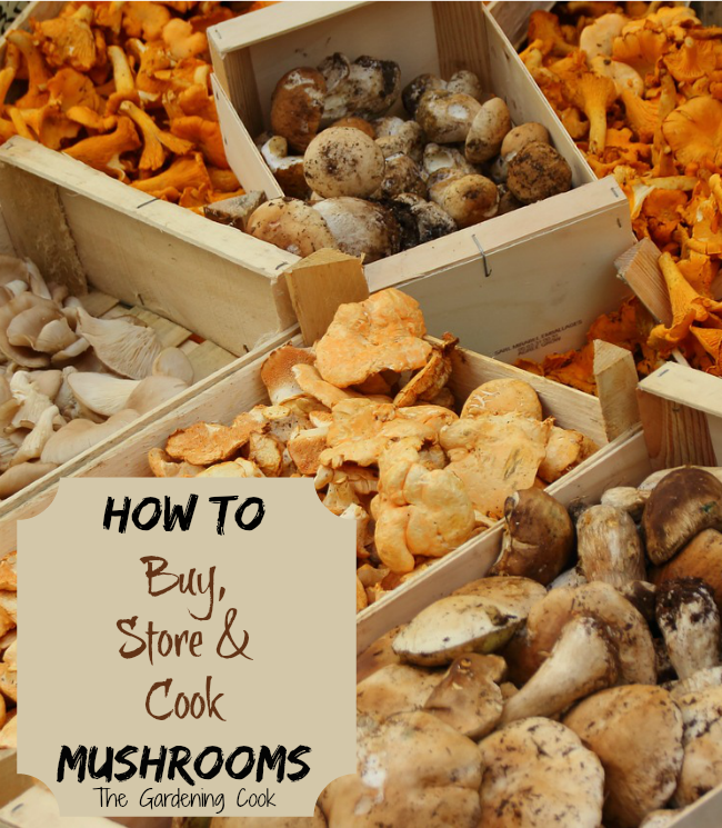 8 Tips for Cooking with Mushrooms - thegardeningcook.com/tips-for-cooking-with-mushrooms
