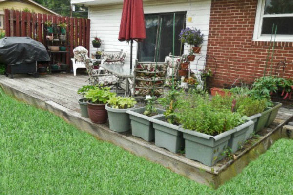 Growing vegetables on a patio