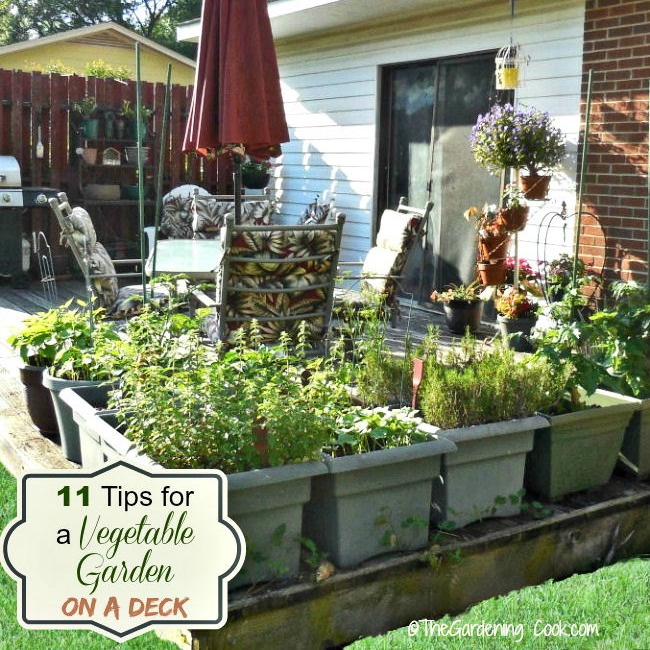 Deck garden ideas