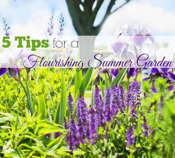 5 Tips for a Flourishing Summer Garden – Help Your Garden Take the Heat