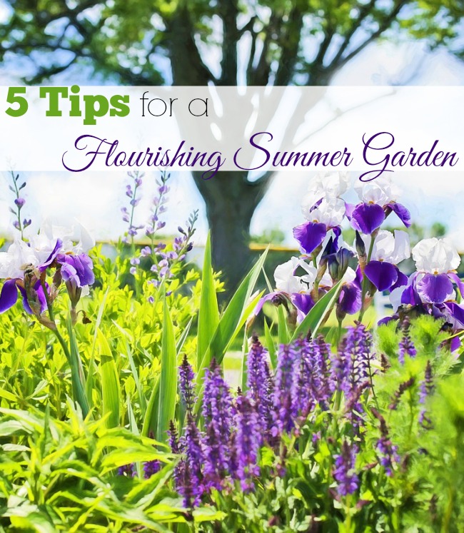 Flowers in a garden with the word 5 Tips for a flourishing Summer Garden.