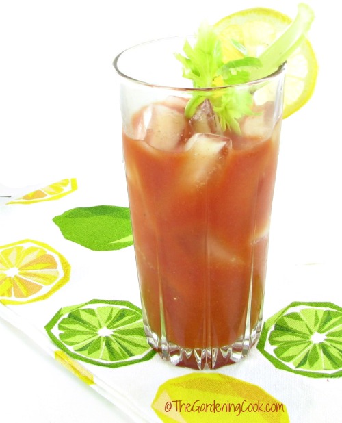 Bloody Mary Cocktail
