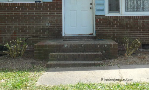 Cutting down overgrown shrubs adds space to the front step