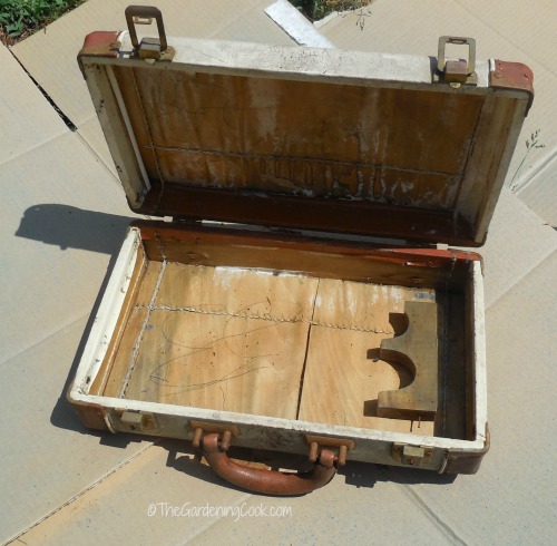 carry case