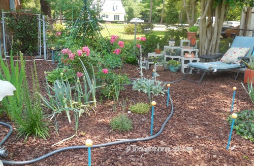 Garden Focal Point