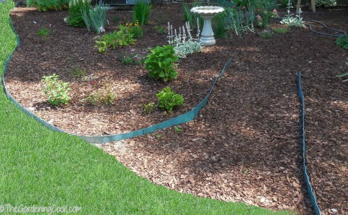 reshaping a garden bed works wonders