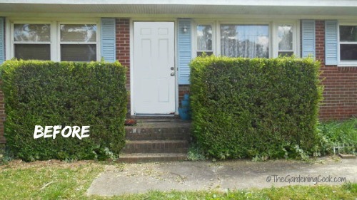 Front Entry Before the Make over