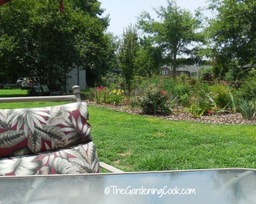 Garden View from my deck