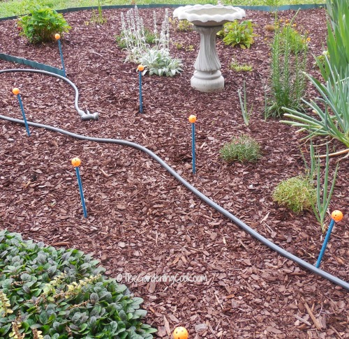 hose guides on path
