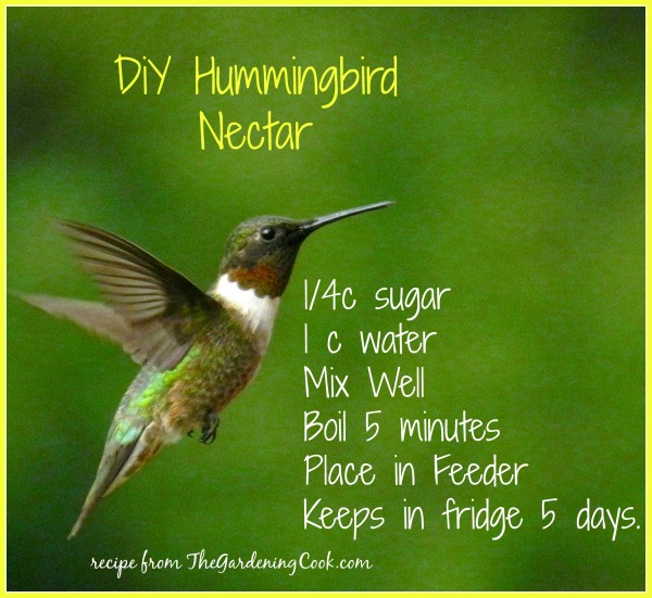 Hummingbird nectar is very easy to make. Just combine sugar and water and boil and store in the fridge.