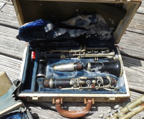 case of musical instruments