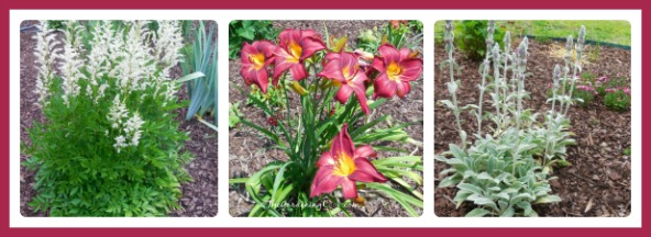 A good color scheme brings the garden together.