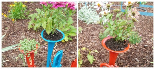 Planted instruments