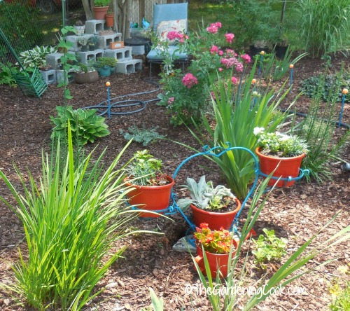 side view of garden bed
